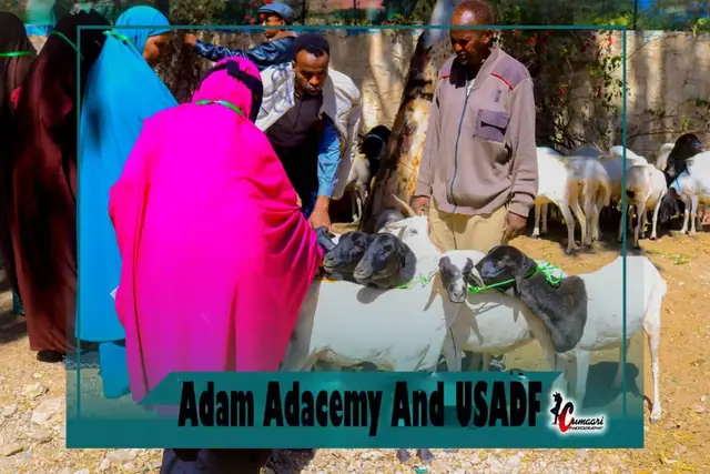 Job Creation & Skills Development — ADAM Academy photo 34
