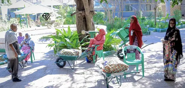 Social Welfare & Humanitarian Support — ADAM Academy photo 6